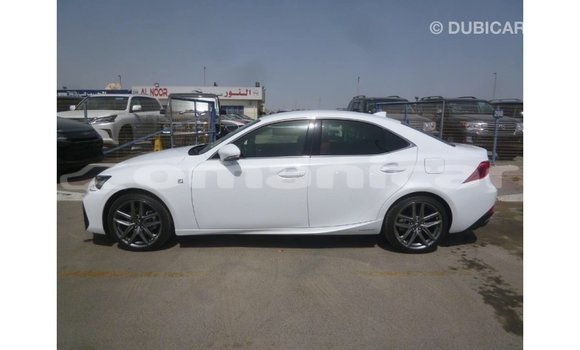 Buy Import Lexus IS White Car in Import - Dubai in Dhufar Buy Import Lexus IS White Car in Import - Dubai in Dhufar
