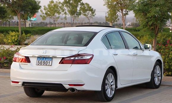 Buy Used Honda Accord White Car in Muscat in Masqat Buy Used Honda Accord White Car in Muscat in Masqat