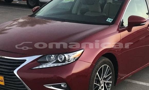 Buy Used Lexus ES Red Car in Muscat in Masqat