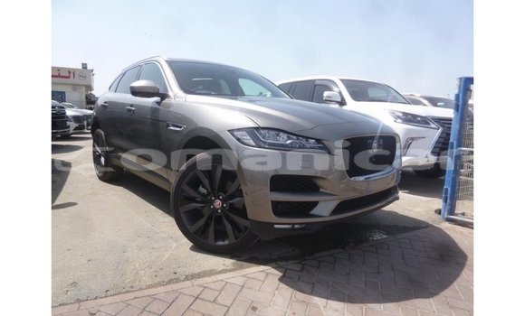 Buy Import Jaguar F-Pace Other Car in Import - Dubai in Dhufar