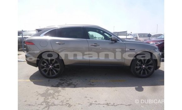 Buy Import Jaguar F-Pace Other Car in Import - Dubai in Dhufar Buy Import Jaguar F-Pace Other Car in Import - Dubai in Dhufar