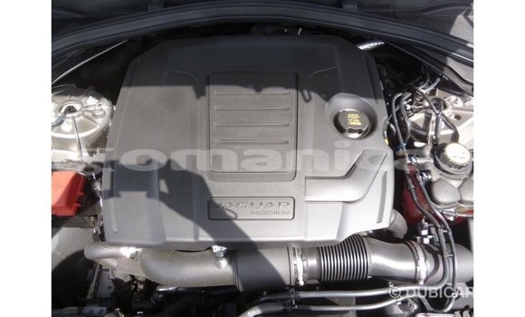 Buy Import Jaguar F-Pace Other Car in Import - Dubai in Dhufar Buy Import Jaguar F-Pace Other Car in Import - Dubai in Dhufar