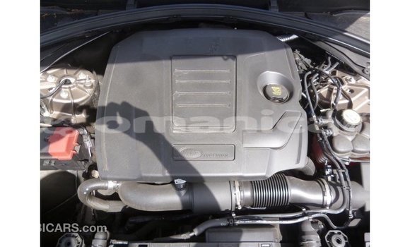 Buy Import Land Rover Range Rover Brown Car in Import - Dubai in Dhufar Buy Import Land Rover Range Rover Brown Car in Import - Dubai in Dhufar