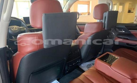 Buy Used Lexus LX Silver Car in Muscat in Masqat Buy Used Lexus LX Silver Car in Muscat in Masqat