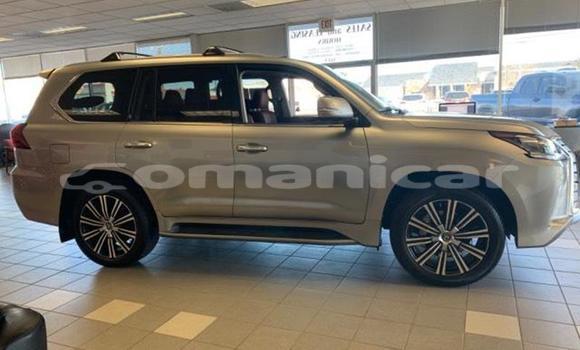 Buy Used Lexus LX Silver Car in Muscat in Masqat Buy Used Lexus LX Silver Car in Muscat in Masqat