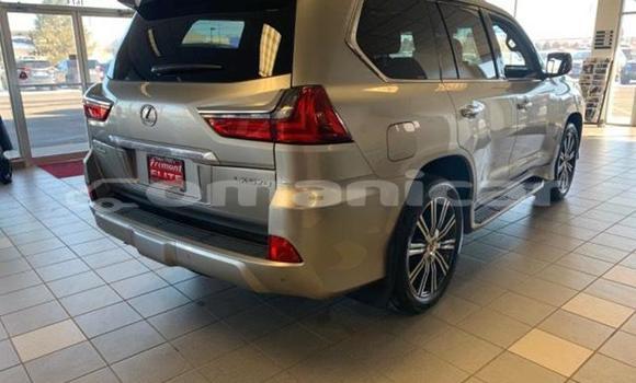 Buy Used Lexus LX Silver Car in Muscat in Masqat Buy Used Lexus LX Silver Car in Muscat in Masqat