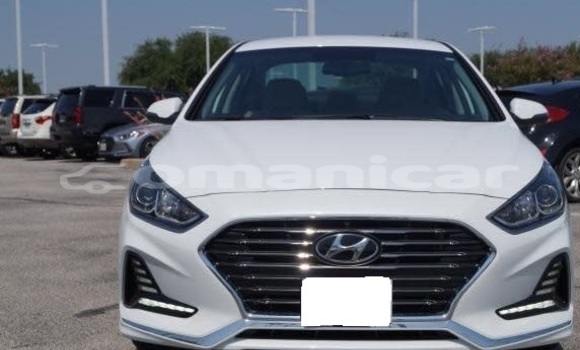 Buy Used Hyundai Sonata White Car in Muscat in Masqat