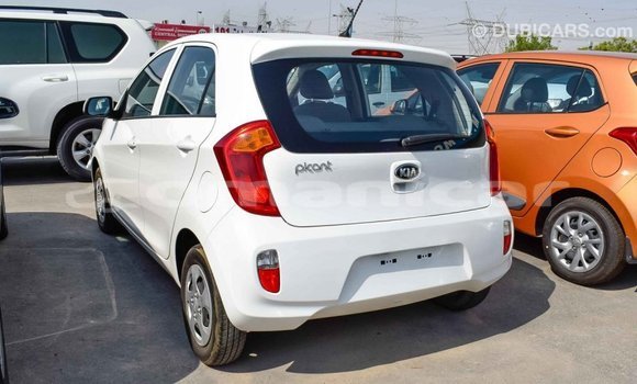 Buy Import Kia Picanto White Car in Import - Dubai in Dhufar Buy Import Kia Picanto White Car in Import - Dubai in Dhufar