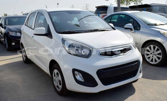 Buy Import Kia Picanto White Car in Import - Dubai in Dhufar Buy Import Kia Picanto White Car in Import - Dubai in Dhufar
