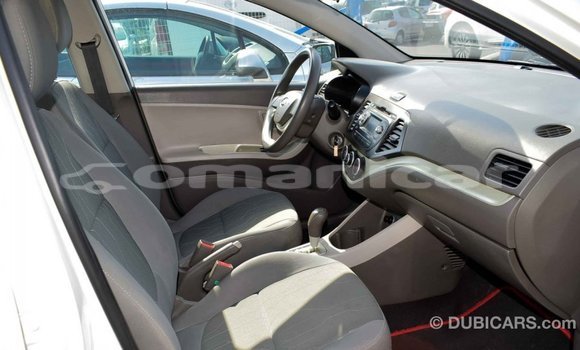 Buy Import Kia Picanto White Car in Import - Dubai in Dhufar Buy Import Kia Picanto White Car in Import - Dubai in Dhufar