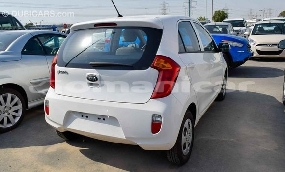 Buy Import Kia Picanto White Car in Import - Dubai in Dhufar Buy Import Kia Picanto White Car in Import - Dubai in Dhufar