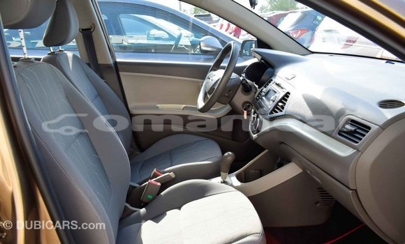 Buy Import Kia Picanto Brown Car in Import - Dubai in Dhufar Buy Import Kia Picanto Brown Car in Import - Dubai in Dhufar