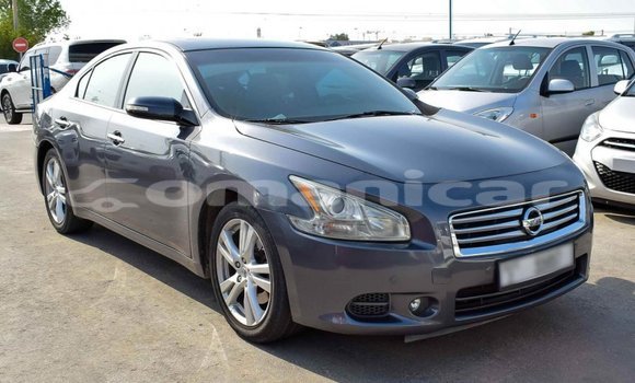 Buy Import Nissan Maxima Other Car in Import - Dubai in Dhufar Buy Import Nissan Maxima Other Car in Import - Dubai in Dhufar