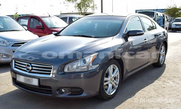 Buy Import Nissan Maxima Other Car in Import - Dubai in Dhufar Buy Import Nissan Maxima Other Car in Import - Dubai in Dhufar