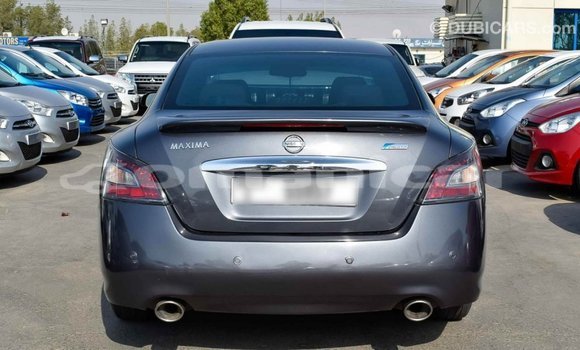 Buy Import Nissan Maxima Other Car in Import - Dubai in Dhufar Buy Import Nissan Maxima Other Car in Import - Dubai in Dhufar
