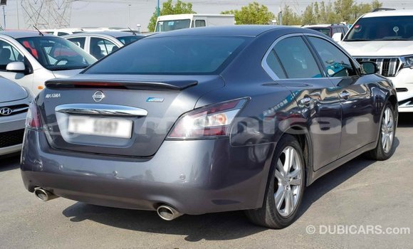 Buy Import Nissan Maxima Other Car in Import - Dubai in Dhufar Buy Import Nissan Maxima Other Car in Import - Dubai in Dhufar